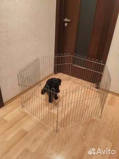 Вольер для собак