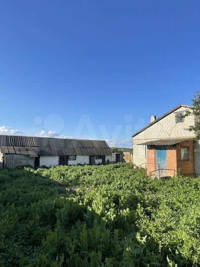 Дом 63,6 м² на участке 33 сот.