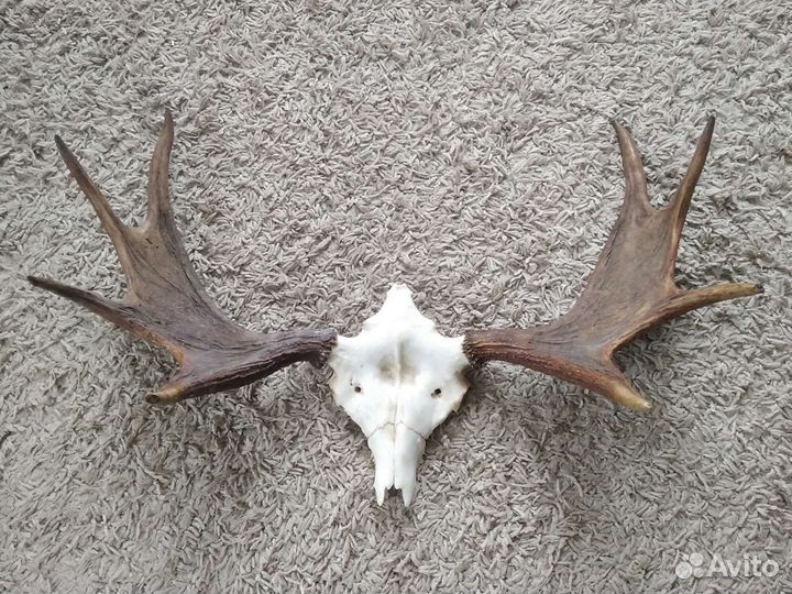 Предметы интерьера