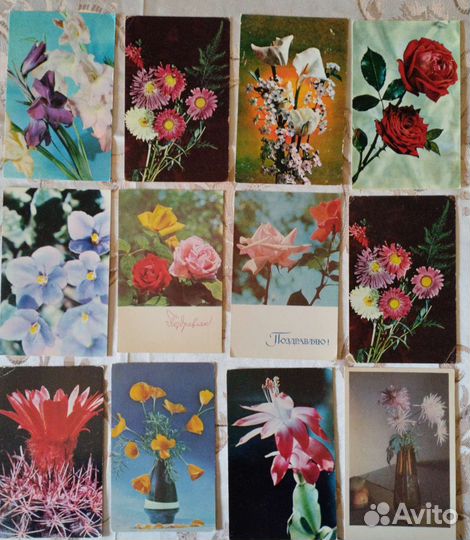 Открытки СССР цветы чистые много