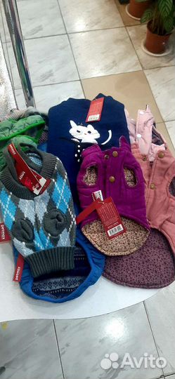 Одежда для собак