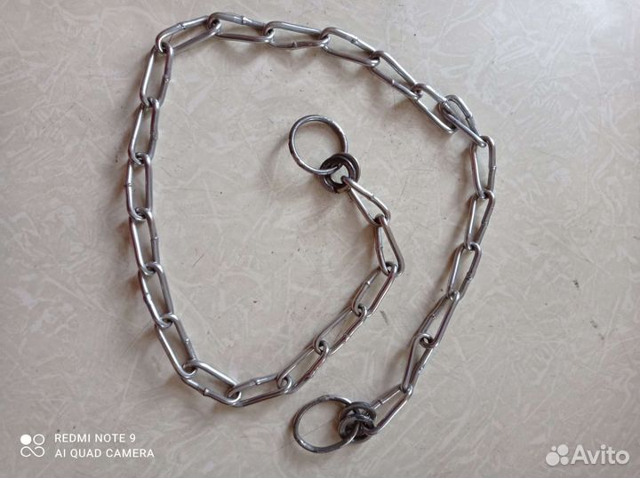 Амуниция для собак