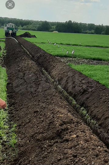 Участок 10 сот. (ИЖС)