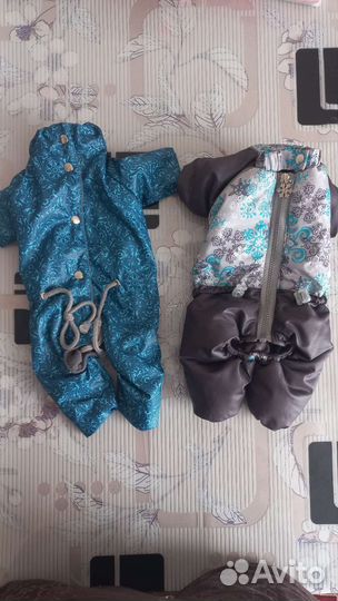 Костюм для собачки