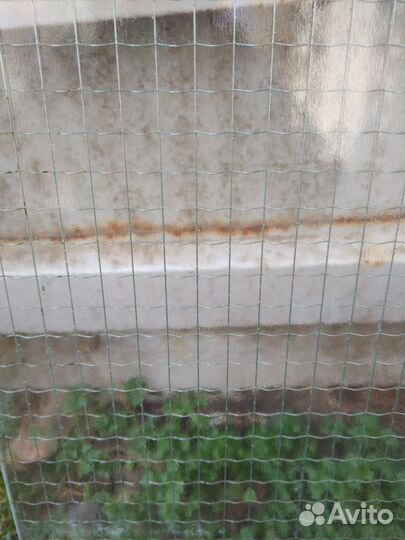 Армированное стекло