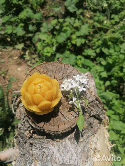 Изготовление свечей из натурального воска