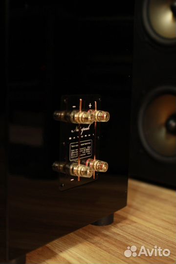 Nat Speak Saturn 1. 2