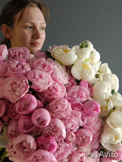Пионы Букет пионов 3 5 7 11 22 шт