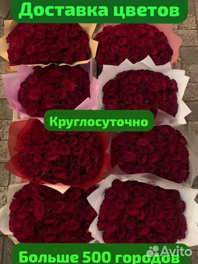 Розы 25/51/101 Геленджик