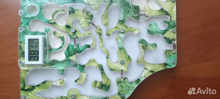 Муравьиная ферма Макси