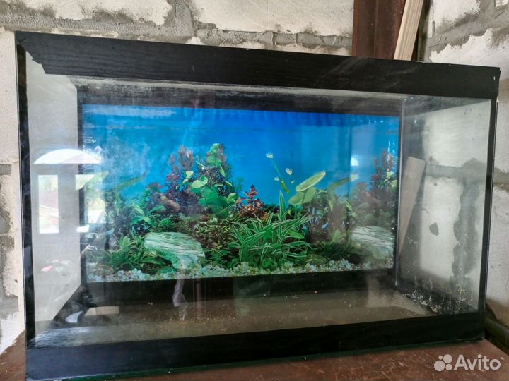 Украшение для аквариума