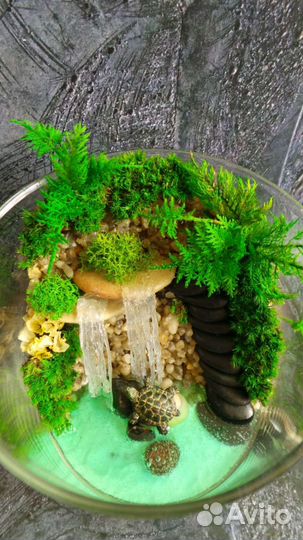 Моссариум с черепахой