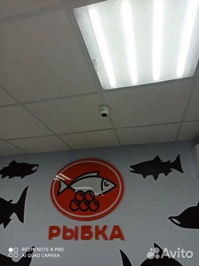 Интернет оборудование в офис / цех / дом