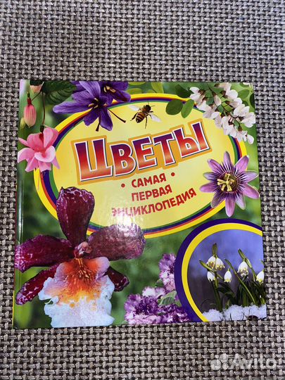 Энциклопедия