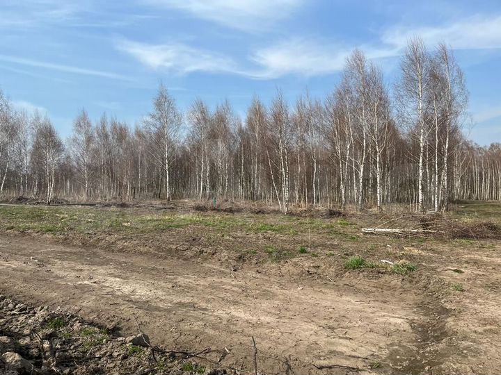 Участок 5 сот. (ИЖС)