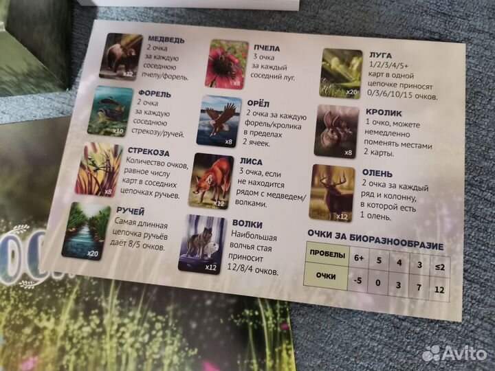 Настольная игра 