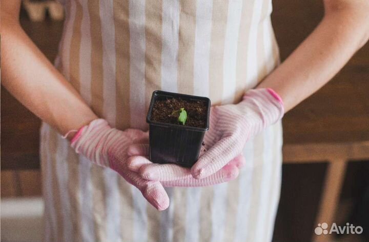 Горшки под рассаду