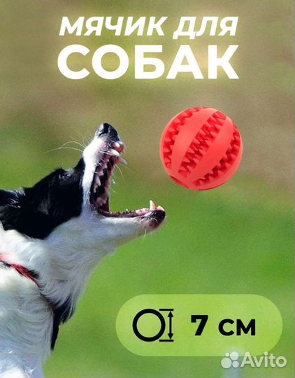 Мяч для собак