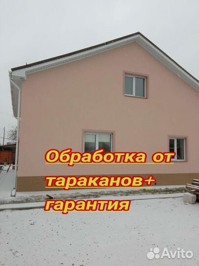 Уничтожение тараканов, клопов, мух