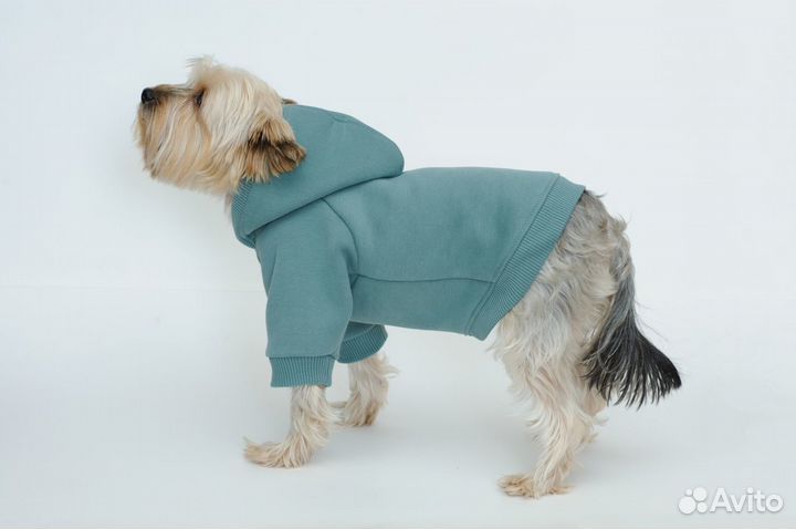 Одежда для собак и кошек