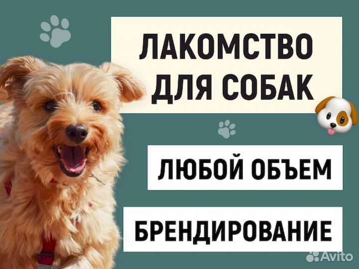 Бычий корень. Прямые производители