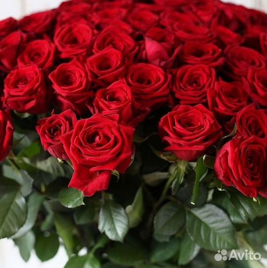 Высокие розы Гигантские розы Доставка цветов