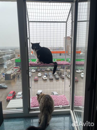 Балкон для кошки, сьемные