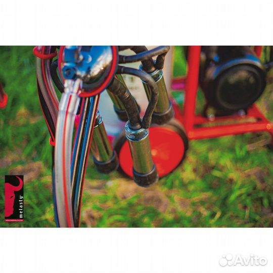 Доильный аппарат для коров Меласти Melasty TK2-AK