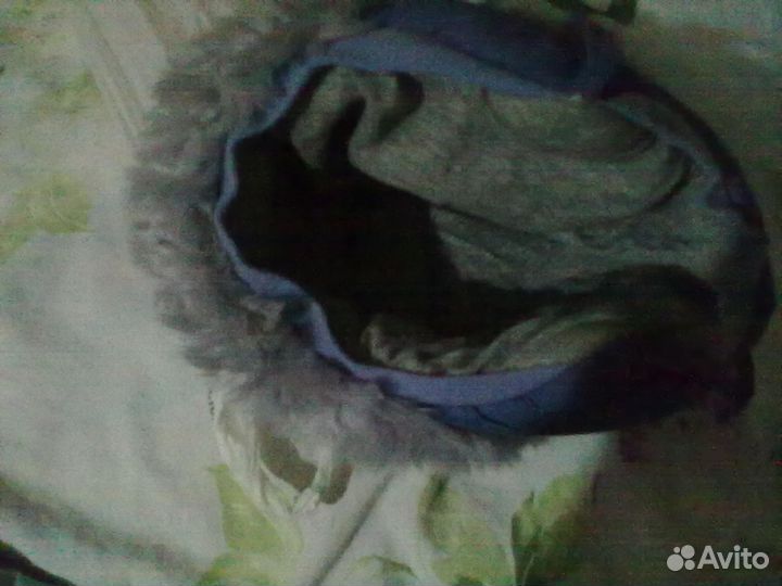 Шапка зимняя болонья