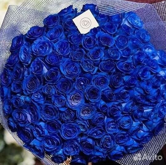 Синие розы Букеты с доставкой