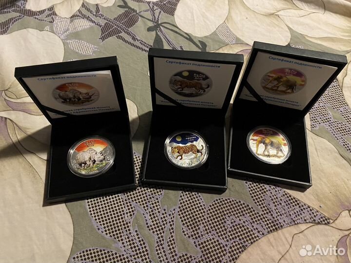 Серебряные монеты kangoo