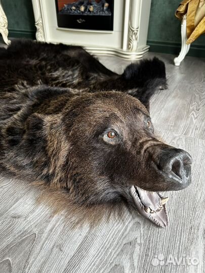 Шкура медведя (имитация)