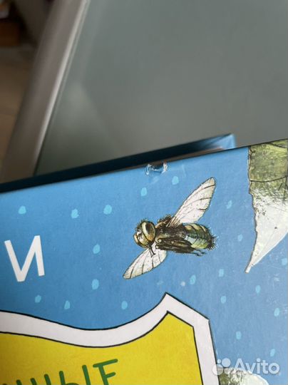 Книги детские новые 5