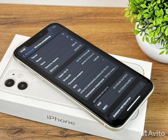 iPhone 11, 256 ГБ