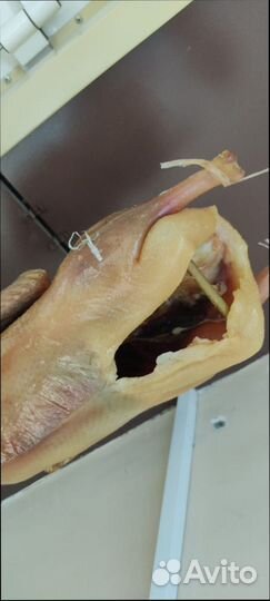 Гусь вяленый копченый Утки Казылык