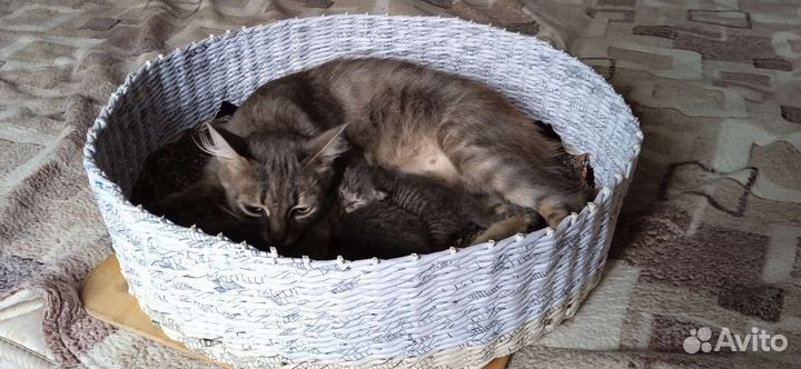 Корзина-лежанка, корзинки для хранения мелочей