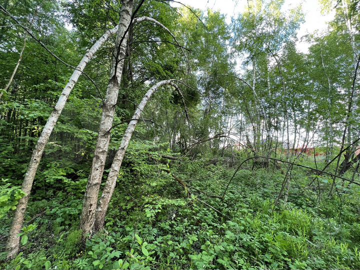 Участок 8,5 сот. (ИЖС)