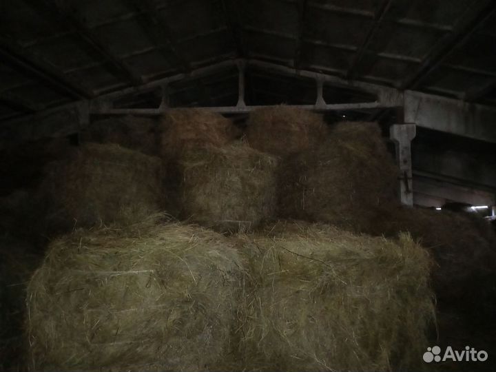 Продам сено в тюках