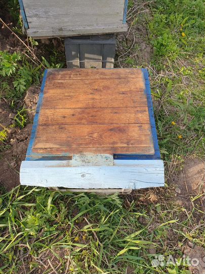 Улей Дадан 12 рамок