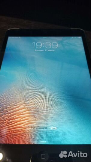 iPad mini WI-FI, cellular