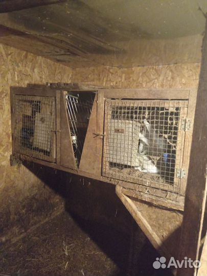 Клетка для кролика