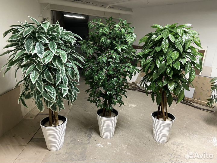 Искусственные деревья / Бамбук / Фитокартина Уфа