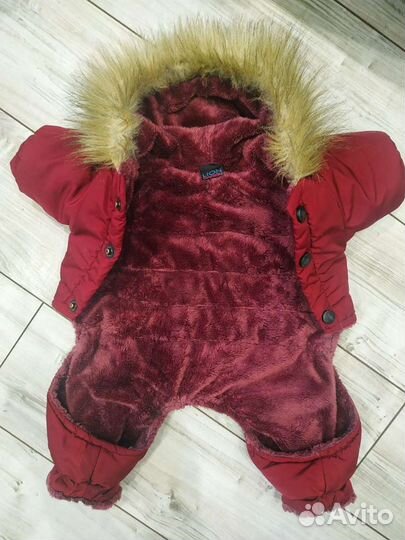 Комбинезон для маленькой собачки(мальчик)