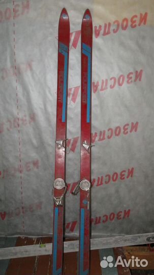 Горные лыжи