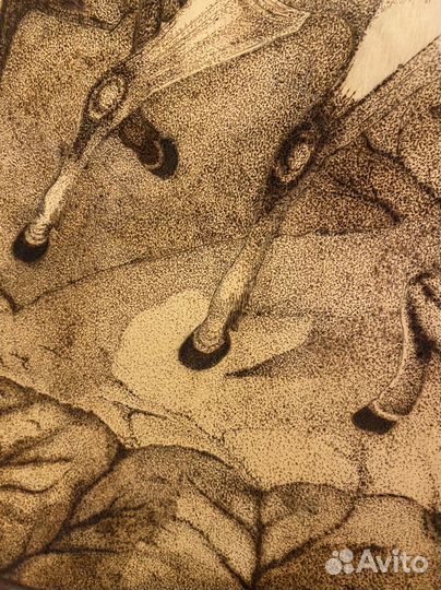 Картина Охота