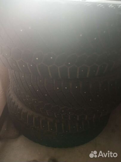 Gislaved Nord Frost 200 205/55 R16