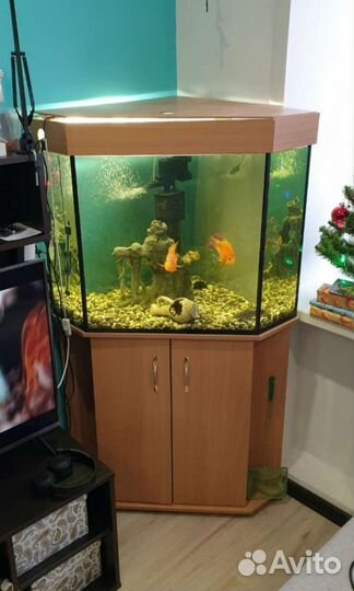 Аквариум угловой с тумбой