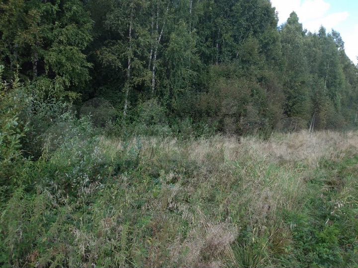 Участок 100 сот. (СНТ, ДНП)