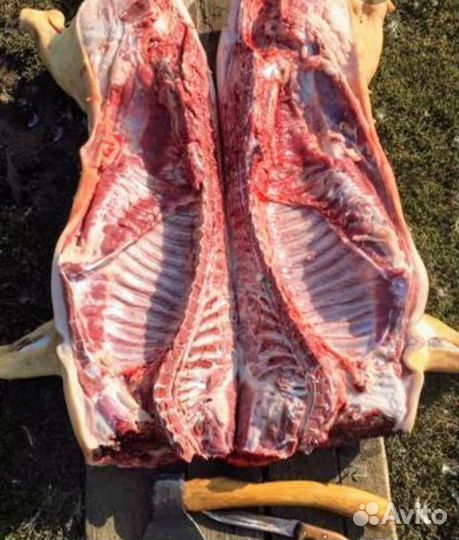 Мясо свинины домашнее полутушки