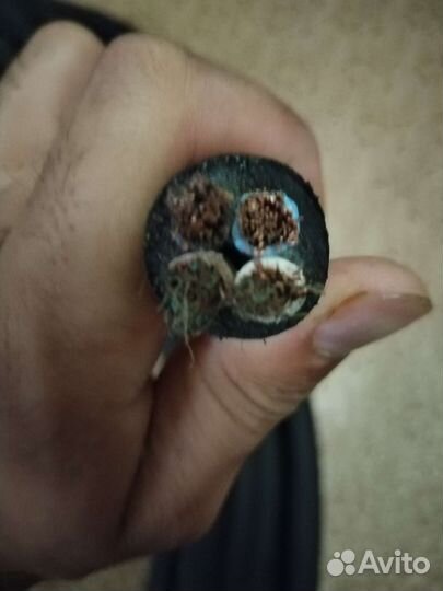 Сетевой кабель